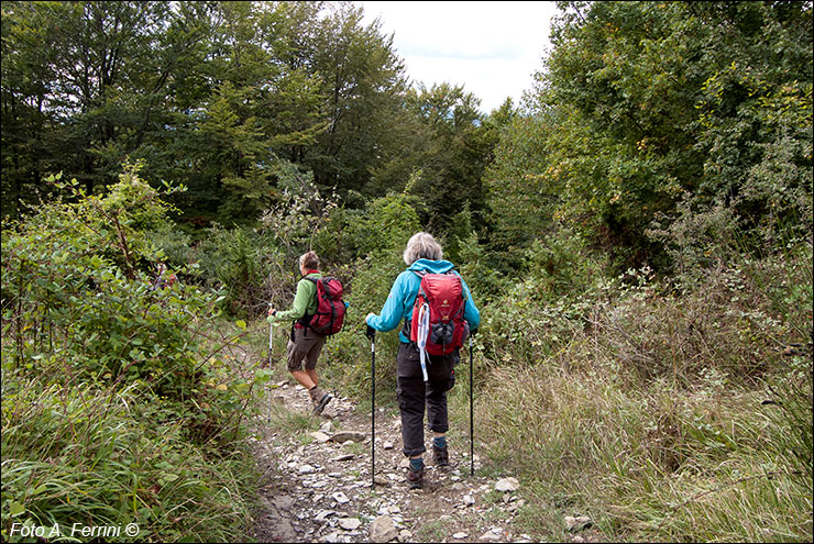 Pilgrims Crossing Borders