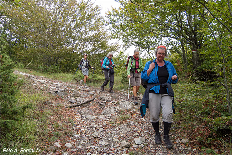 Pilgrims Crossing Borders