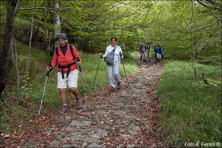 Pilgrims Crossing Borders