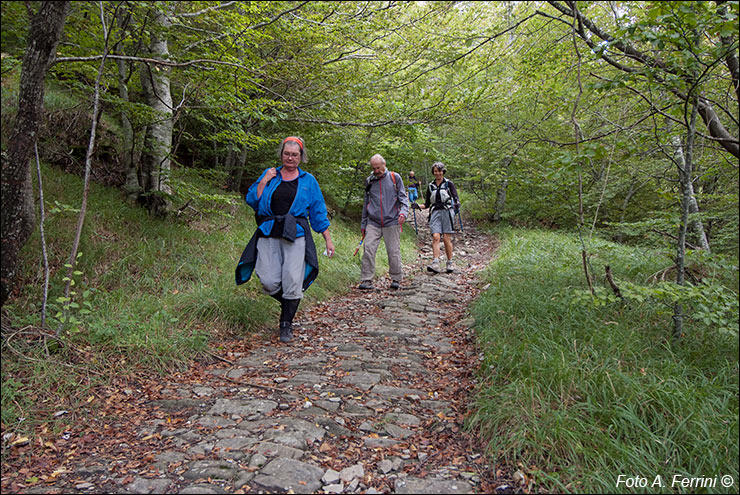 Pilgrims Crossing Borders