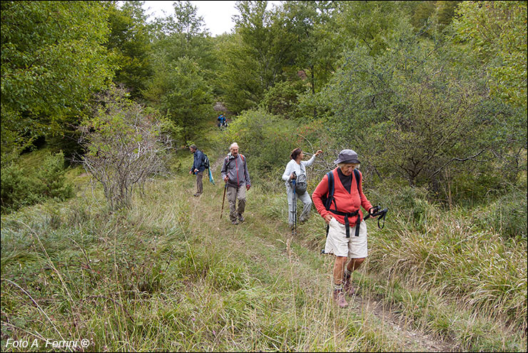 Pilgrims Crossing Borders