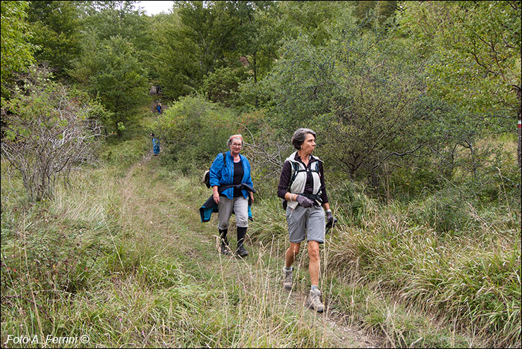 Pilgrims Crossing Borders