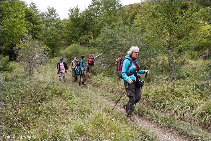 Pilgrims Crossing Borders