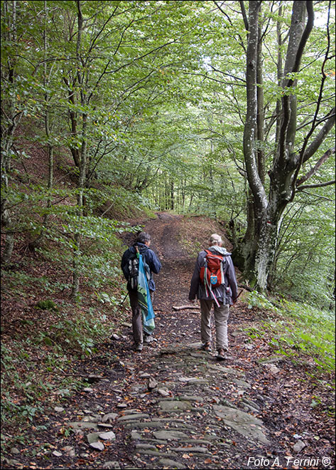 Pilgrims Crossing Borders