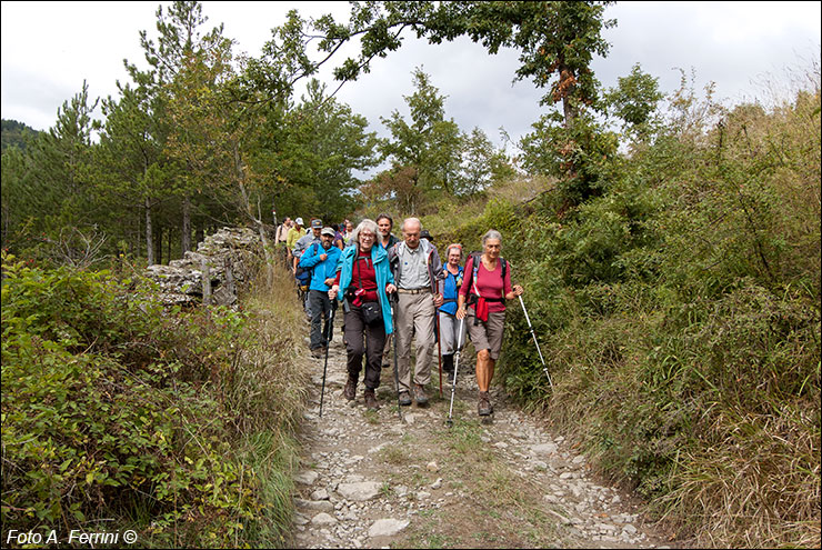 Pilgrims Crossing Borders