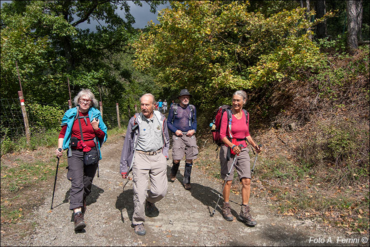 Pilgrims Crossing Borders