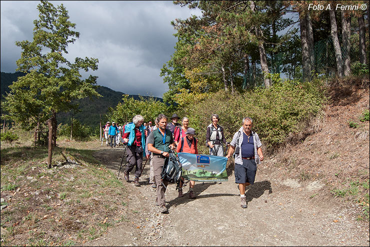 Pilgrims Crossing Borders