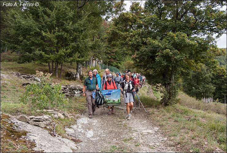 Pilgrims Crossing Borders