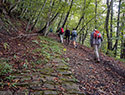 Pilgrims Crossing Borders