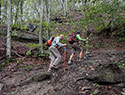 Pilgrims Crossing Borders