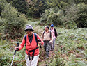 Pilgrims Crossing Borders