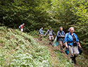 Pilgrims Crossing Borders