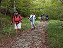 Pilgrims Crossing Borders