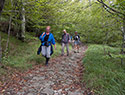 Pilgrims Crossing Borders