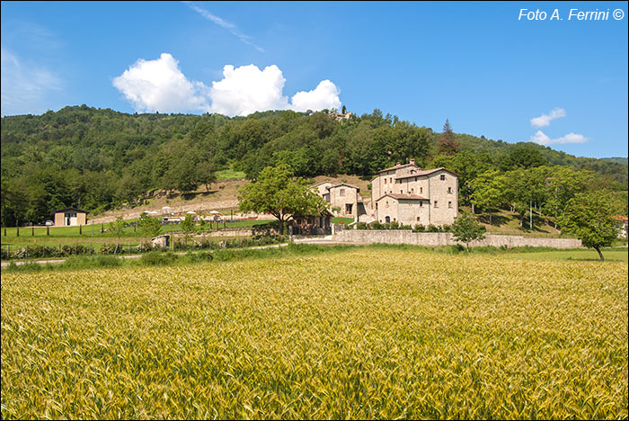 Agriturismo Pian di Filetto
