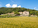 Agriturismo Pian di Filetto