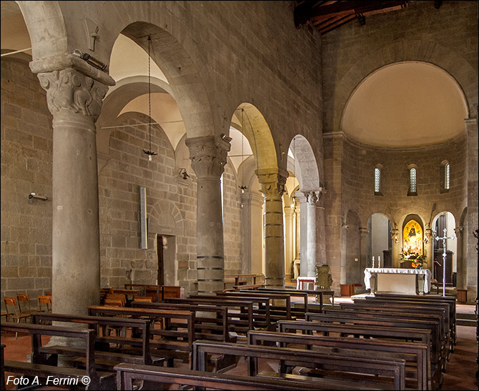 Pieve di Stia, navate