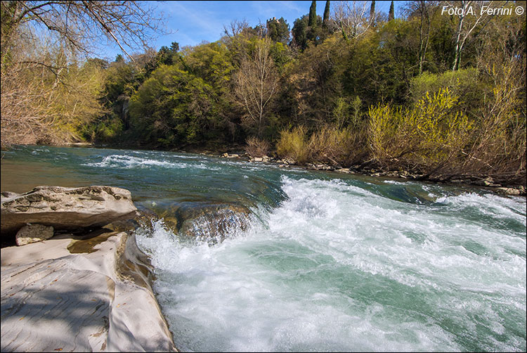 Fiume Arno