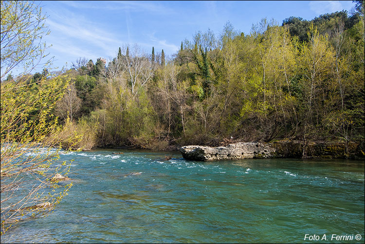 Fiume Arno