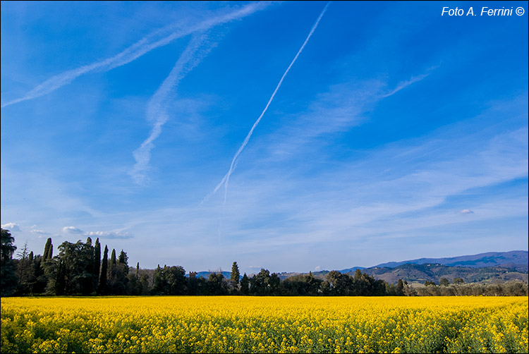 Paesaggio agricolo aretino