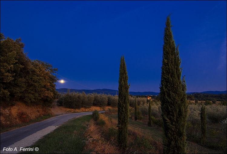 Campagna aretina