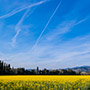 Paesaggio agricolo aretino