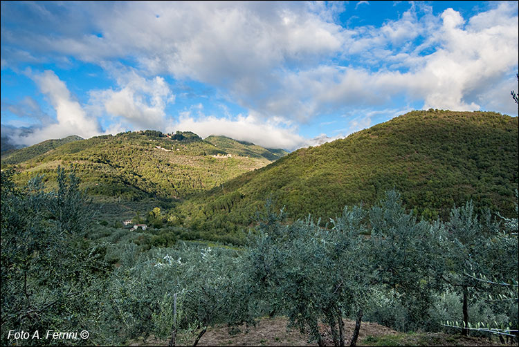 Poggio di Loro