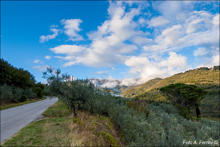 Poggio di Loro