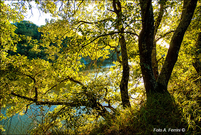 Riserva Ponte Buriano e Penna