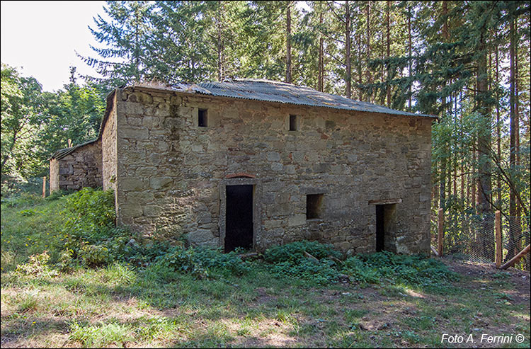 Casa del contadino alla Badia