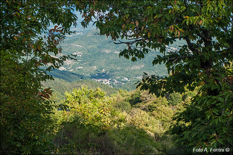 Vista di Talla dal CAI 46