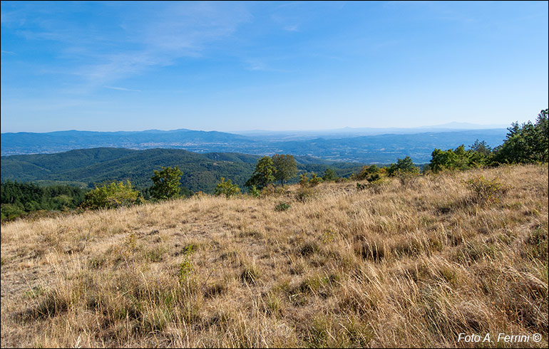 Panorama su Arezzo