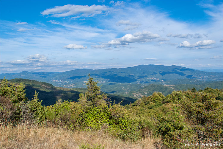 Panorama su Catenaia e La Verna