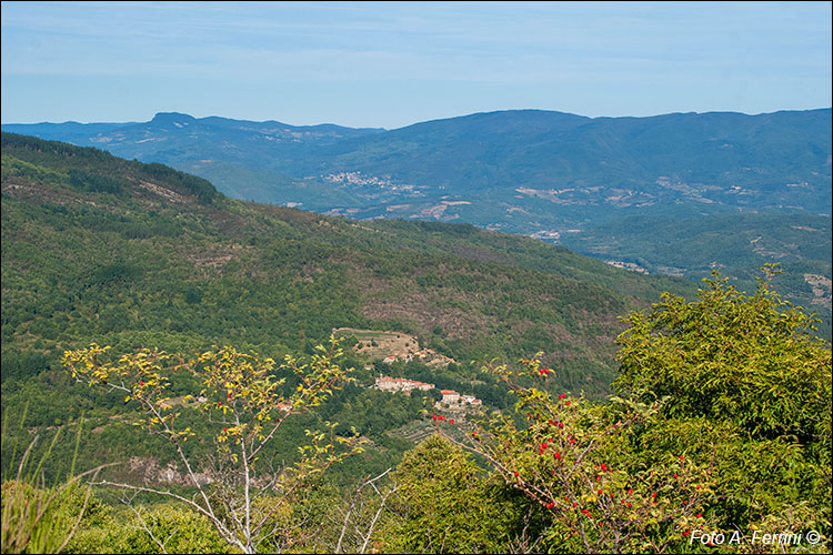 Panorama su Capraia