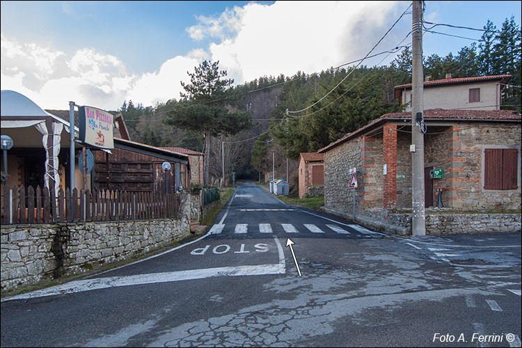 Strada verso il Pratomagno