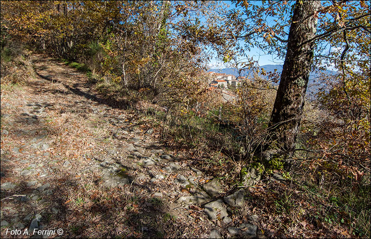 Strada della ferriera