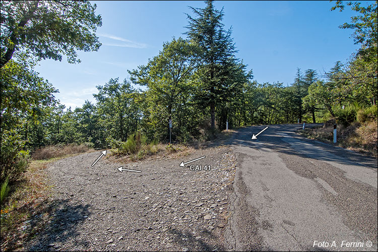 CAI 41 verso San Giustino