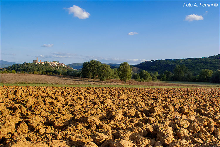 Paesaggi toscani