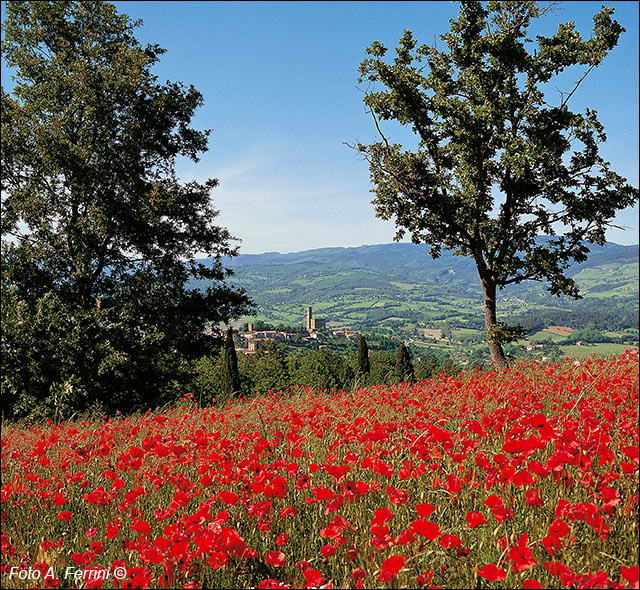 Paesaggio intorno a Poppi