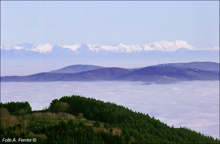 Monti Sibillini