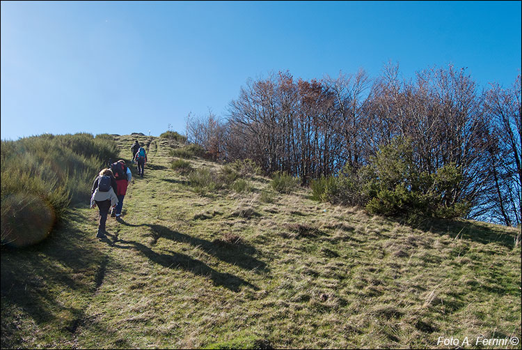 Poggio alla Cesta, Pratomagno