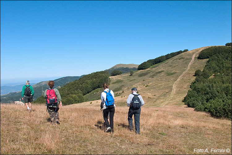 Cima Bottigliana