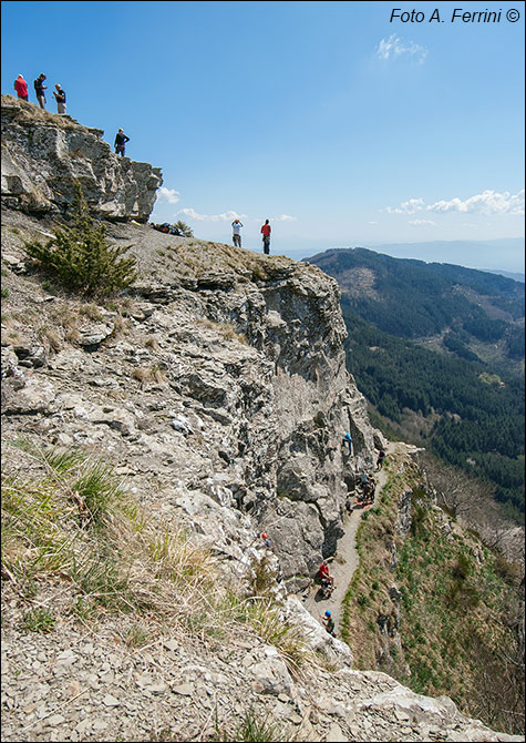 Ferrata del Pratomagno