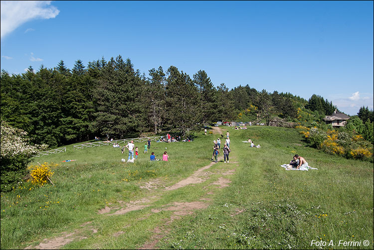 Pian di Lavacchi, Monte Lori