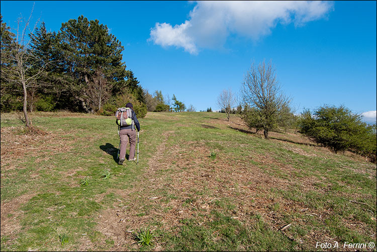 Crinale a Monte Lori