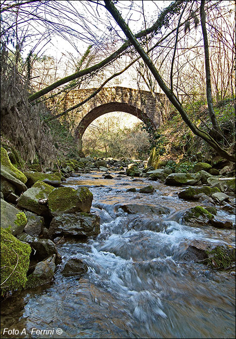 Torrente Montemignaio