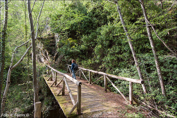 Sentiero Poggio di Loro - Rocca Ricciarda