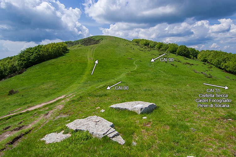 Da Poggio Masserecci a Socana