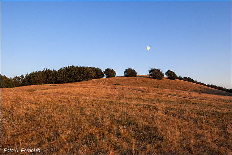 Poggio Masserecci e la luna