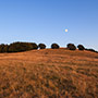 Poggio Masserecci e la luna